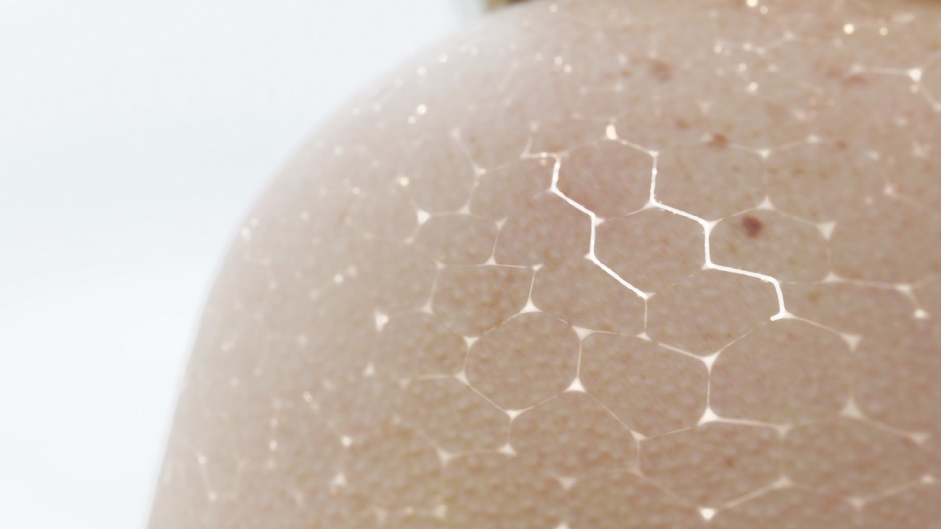 Las Ceramidas Y Todas Sus Diferencias Informaci n Cerave ingredient-101-ceramides-healthyskin-ceramides-are-great-for-the